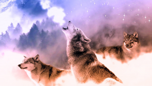 Vollmond- Wolfsmond im Januar